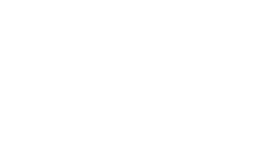 Site Pro 1